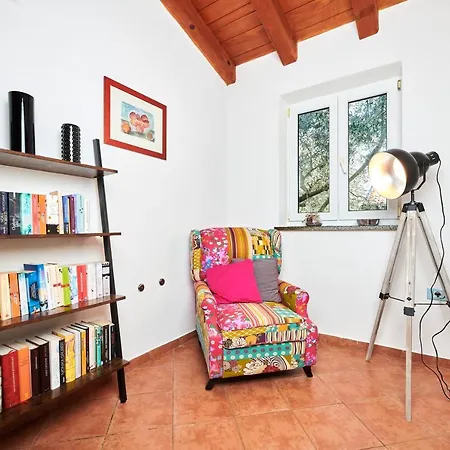 Villa Casa Di Oliva *